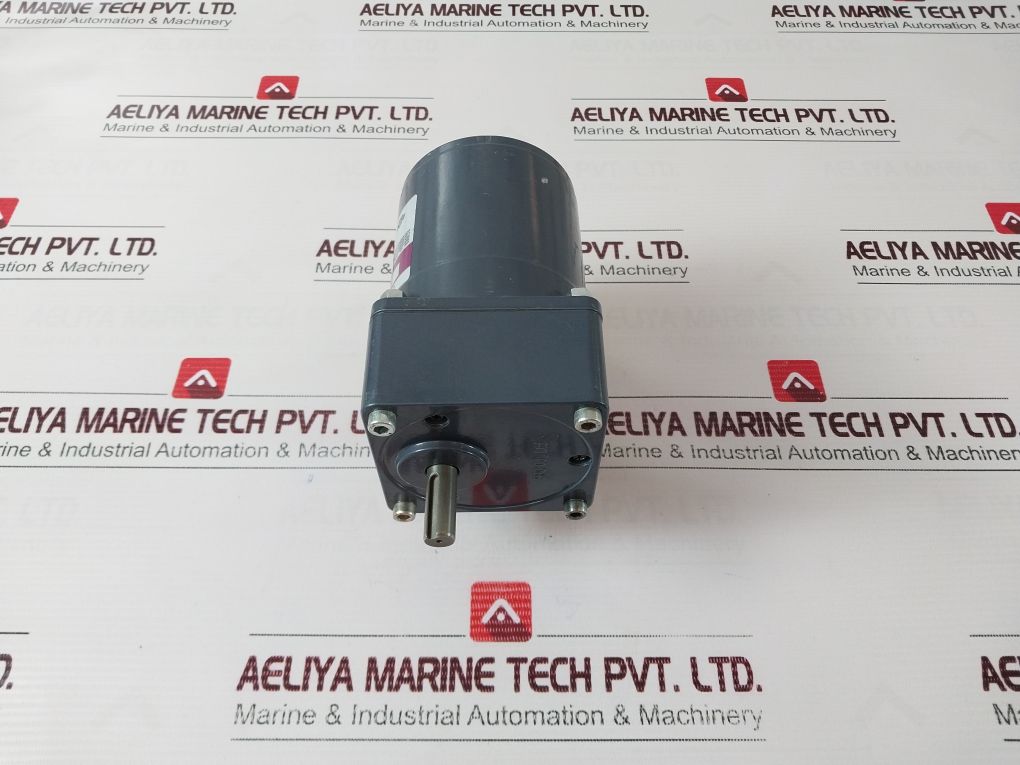 Spg S9I40Gsh-tce Induction Motor With S9Kb10B1H Gear Head