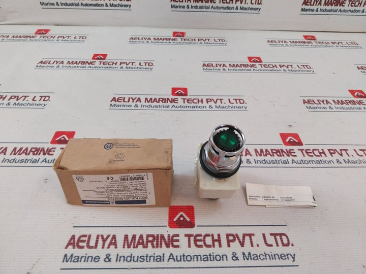 Square D 9001K3L35Lggh13 Illuminated Pushbutton