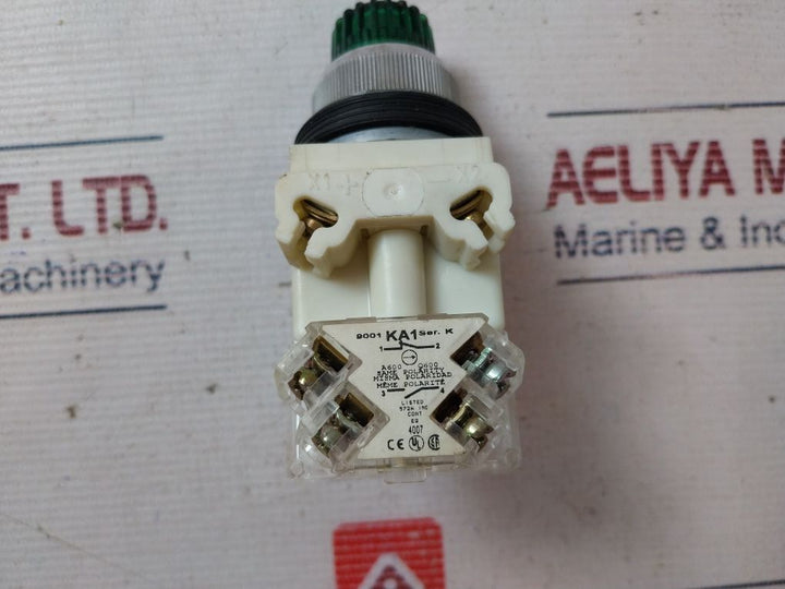 Square D 9001K3L35Lggh13 Illuminated Pushbutton 9C0740600001