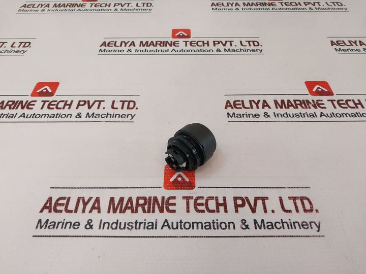 Stahl 8602 Switch Actuator And Indicator Inserts