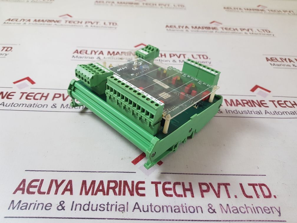 F102002 A Stein Sohn F102002 A Analog Pt100 Input Api 6/3