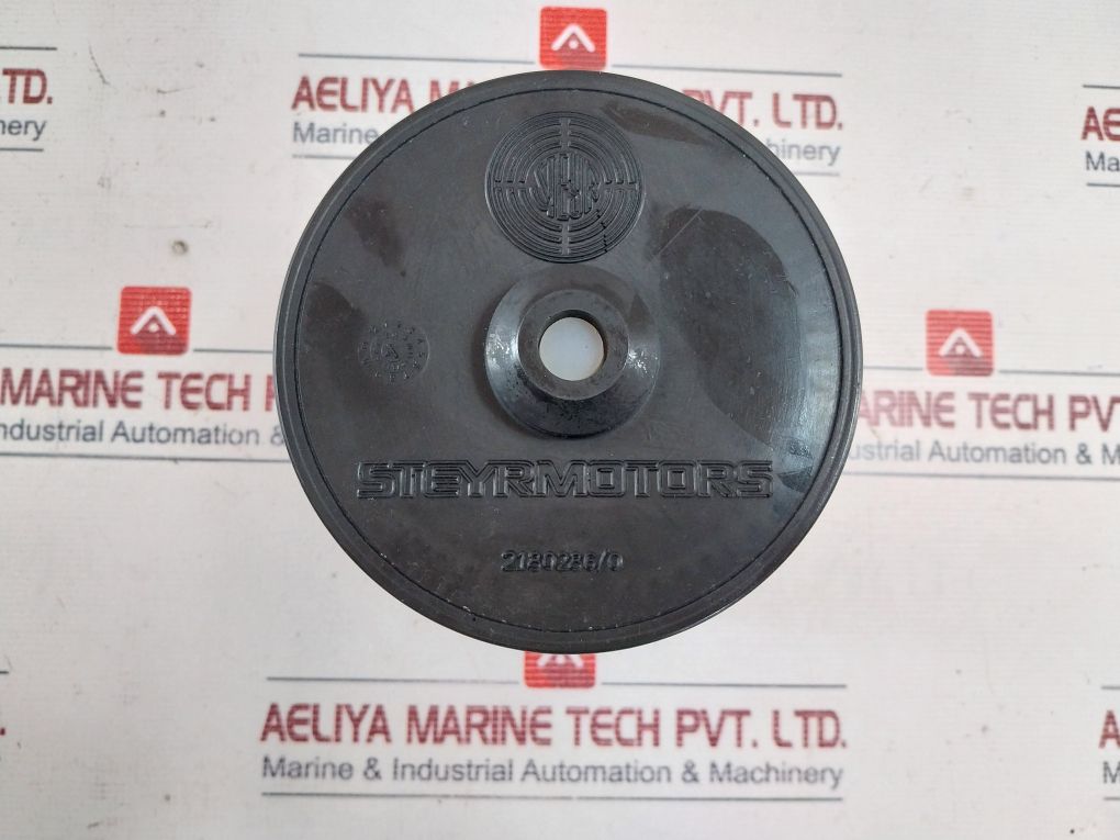 Steyr Z002100-3 Air Filter Dm101 + Hose Clamp