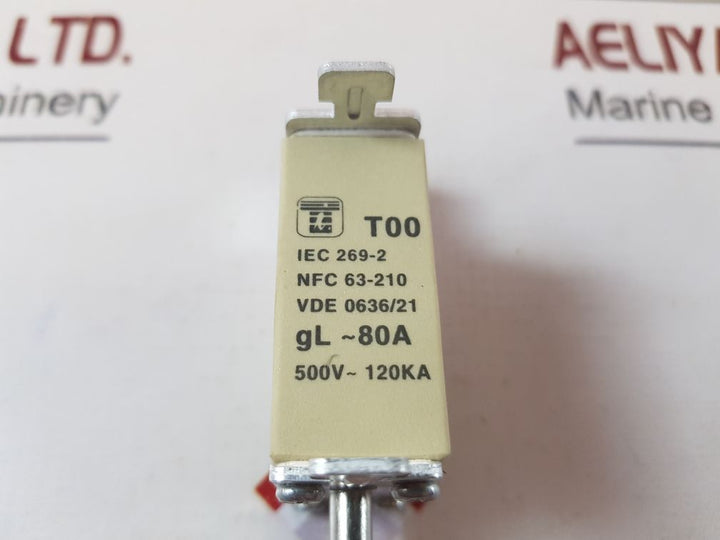 T & I T00 Bridex Fuse (1Box=3Pcs)