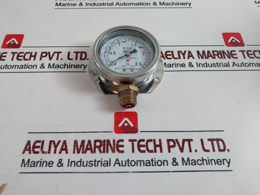 Taixing Dahua 0-2.5 Mpa Pressure Gauge