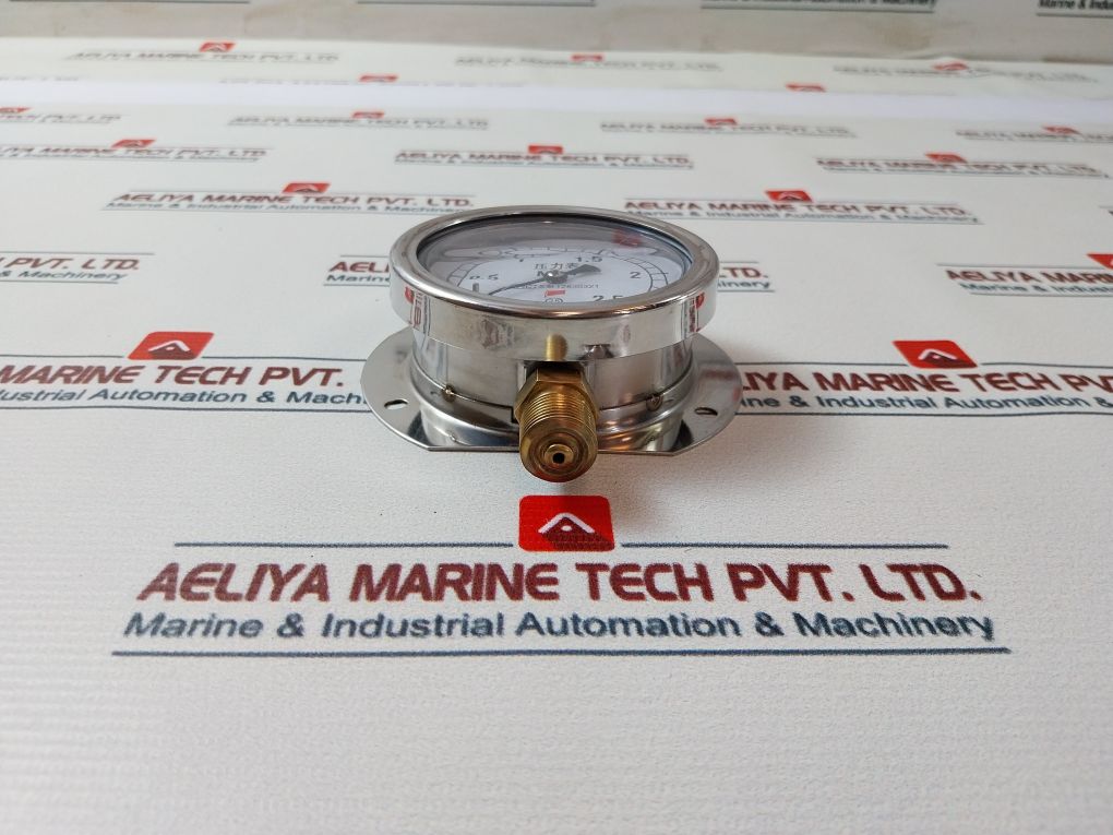 Taixing Dahua 12830321 Pressure Gauge 