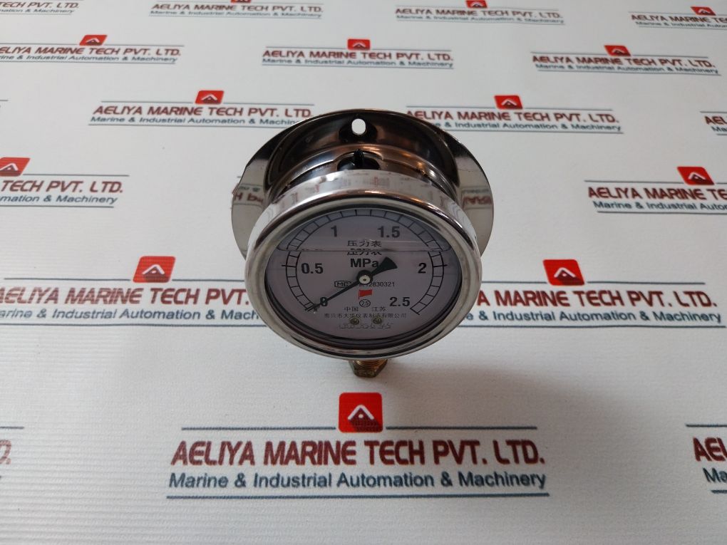 Taixing Dahua 12830321 Pressure Gauge 