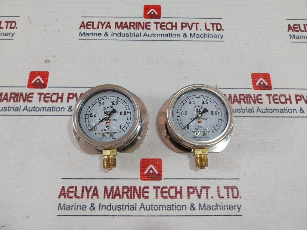 Taixing Dahua Instrument 0-1 Mpa Pressure Gauge