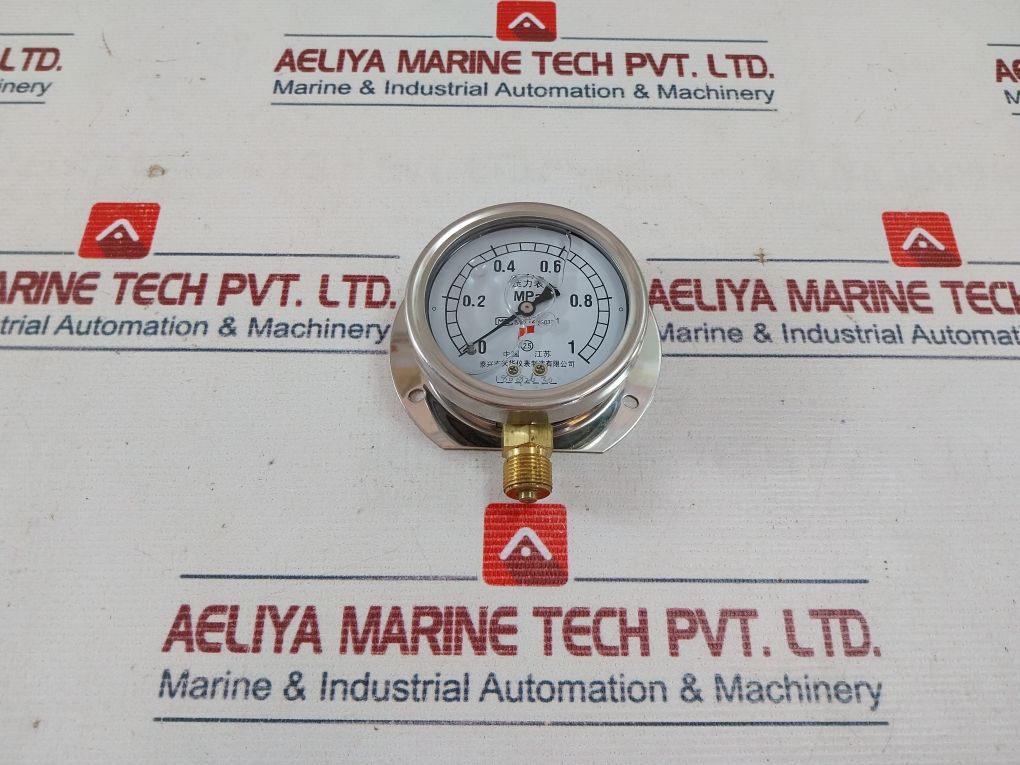 Taixing Dahua Instrument 0-1 Mpa Pressure Gauge