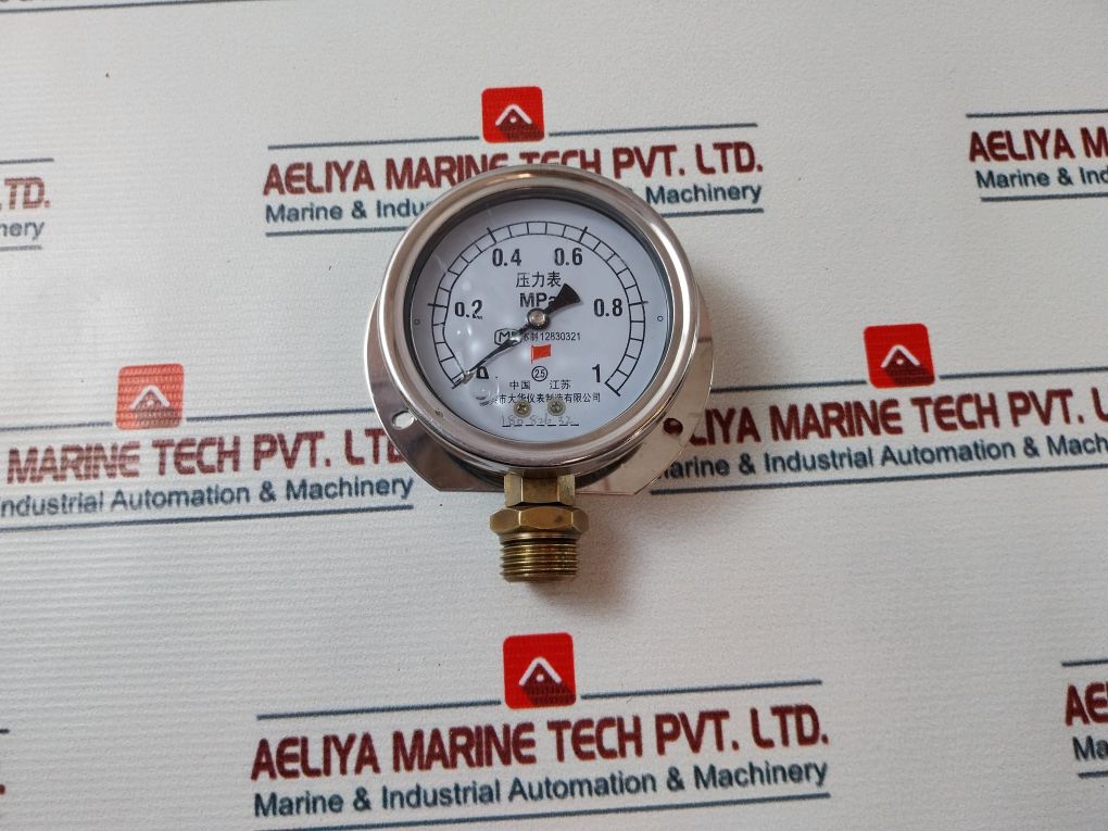 Taixing Dahua Instrument 12830321 Pressure Gauge