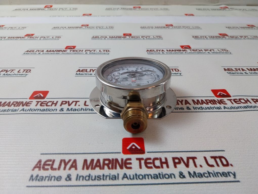 Taixing Dahua Instrument 12830321 Pressure Gauge