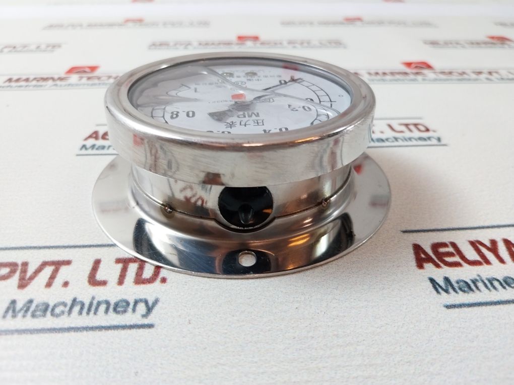 Taixing Dahua Instrument 12830321 Pressure Gauge