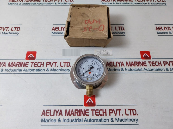 Taixing Dahua 0-2.5 Mpa
