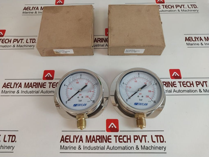 Taylan 0-230 Psi