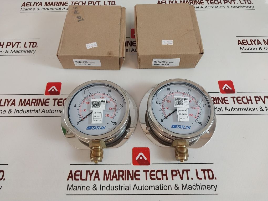 Taylan 100 Mm 0-25 BarPsi
