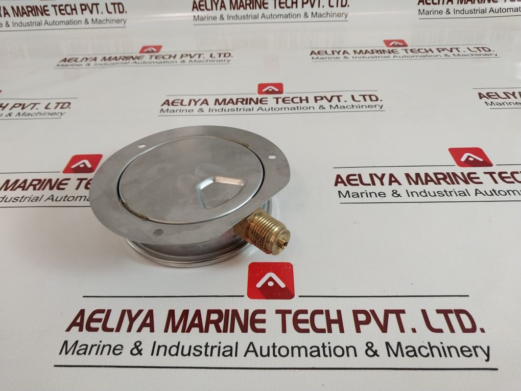 Taylan Kl 1.6 Pressure Gauge 100 Mm 0-25 Bar/Psi