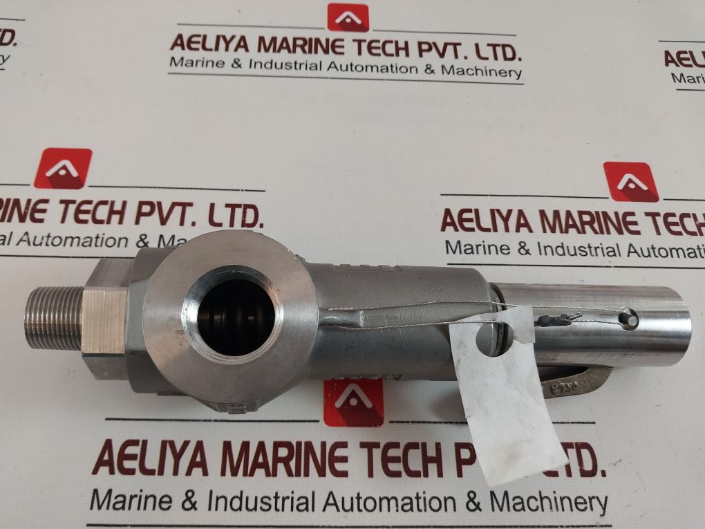 Taylor Valve S-01370000 Safety Relief Valve