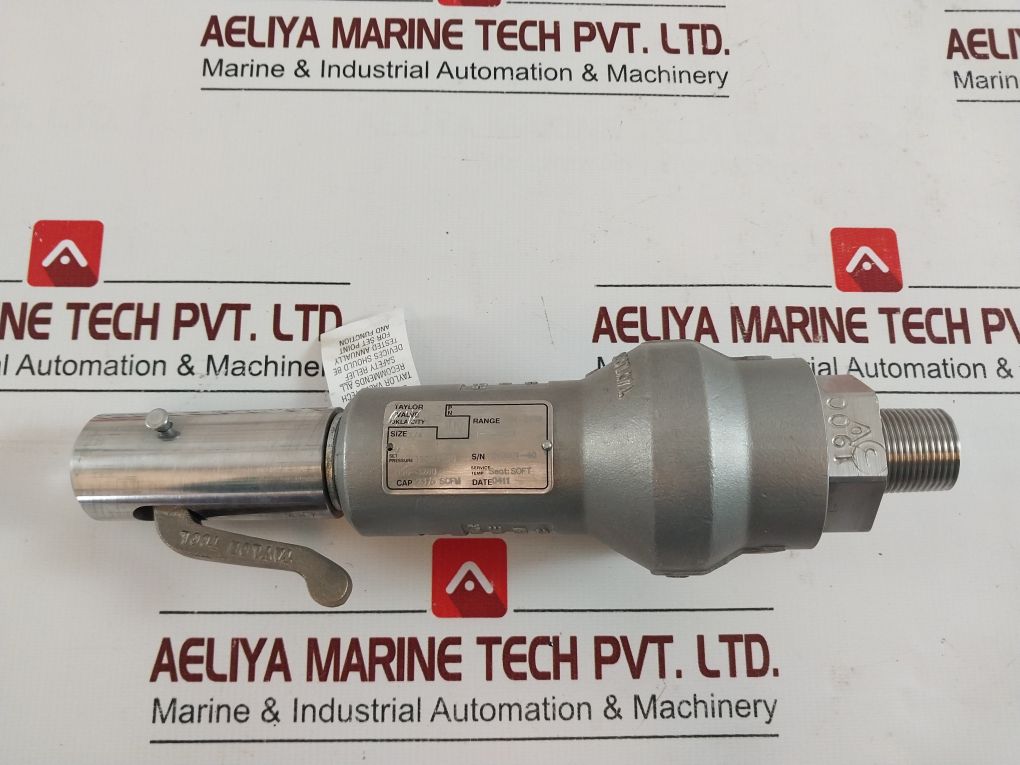 Taylor Valve S-01370000 Safety Relief Valve