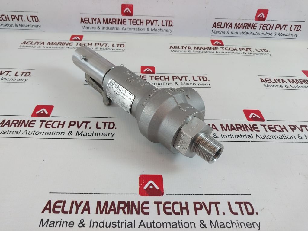 Taylor Valve S-01370000 Safety Relief Valve