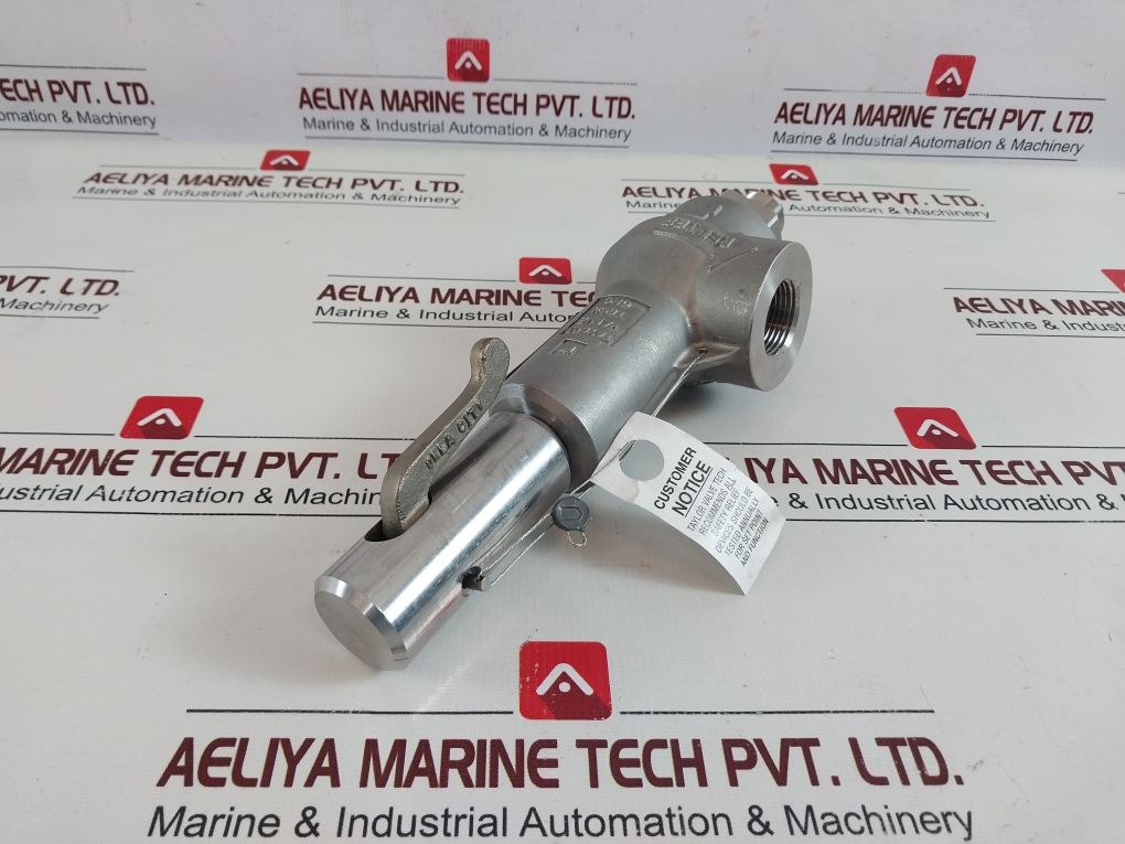 Taylor Valve S-01370000 Safety Relief Valve