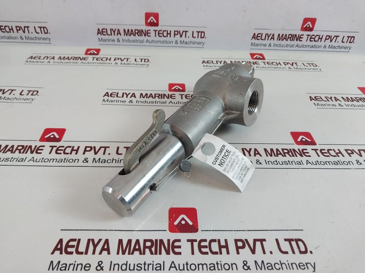 Taylor Valve S-01370000 Safety Relief Valve