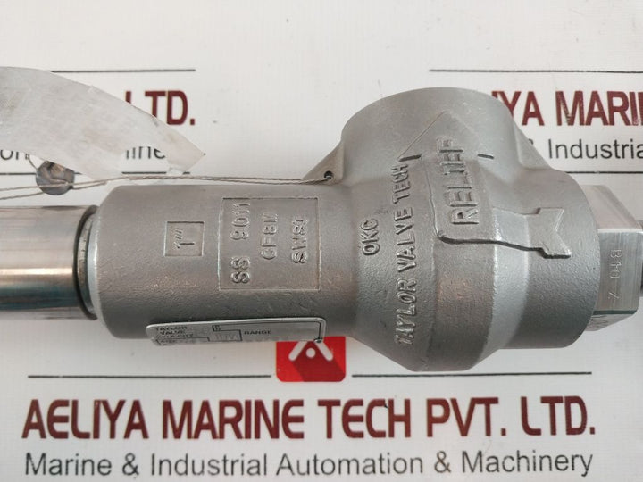 Taylor Valve S-01370000 Safety Relief Valve