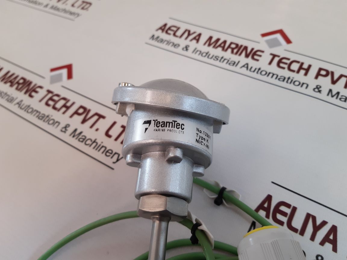 Teamtec 12501 Thermocouple Type K With Transmitter Set