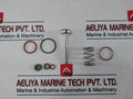 Teamtec 12806 Repair Kit For Sludge Valve A6324