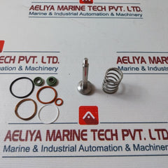 Teamtec 12806 Repair Kit For Sludge Valve Kit