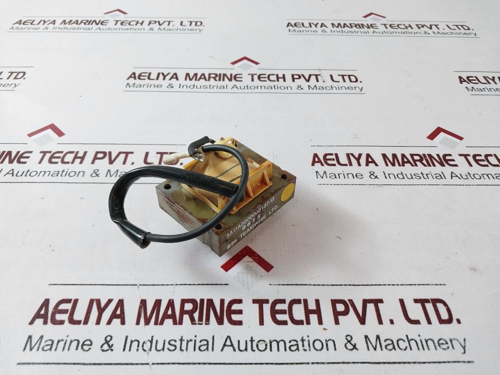 Teamwise 3Aua0000000137/G Dc Transformer B88