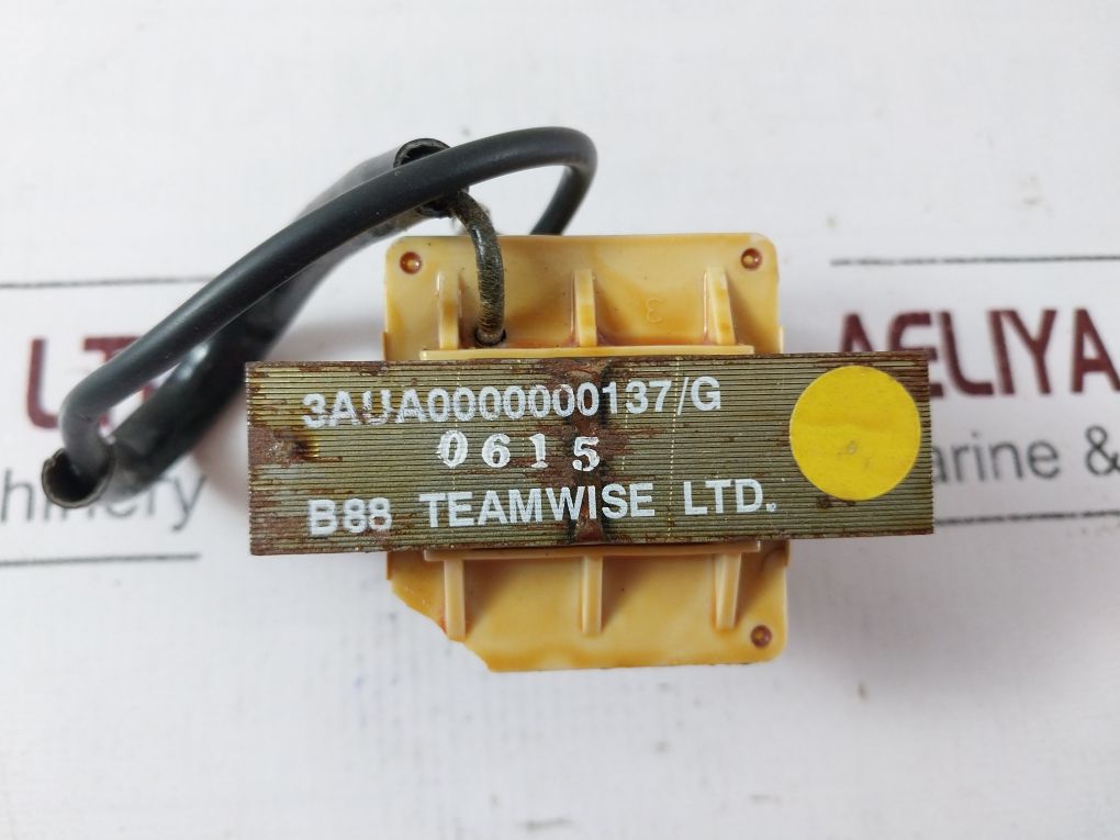 Teamwise 3Aua0000000137/G Dc Transformer B88