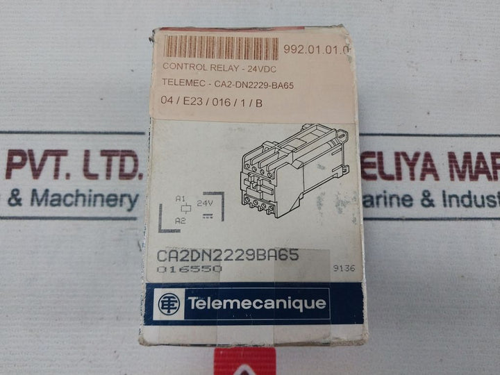 Telemecanique Ca2-dn2229•A 65 Control Relay 10A