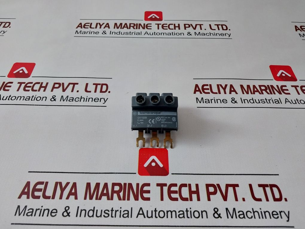 Telemecanique Gv1G09
