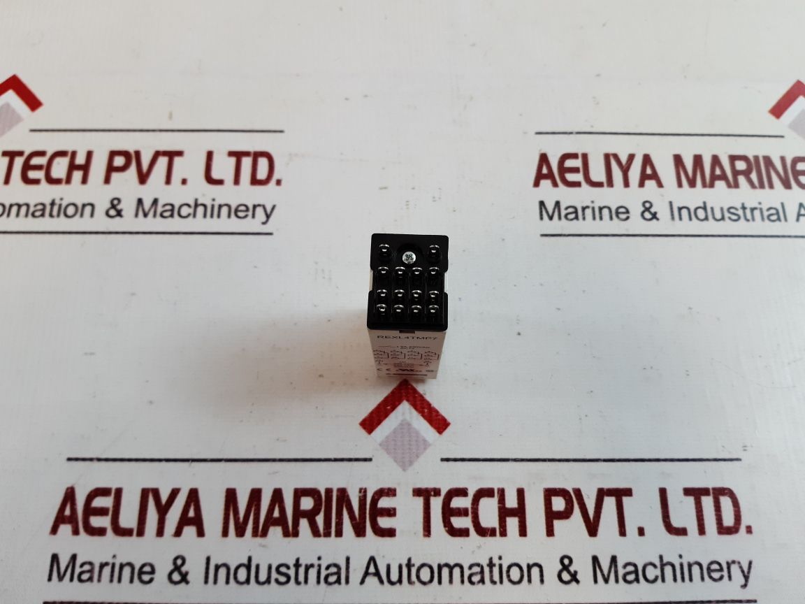 Telemecanique rexl4tmp7 timer