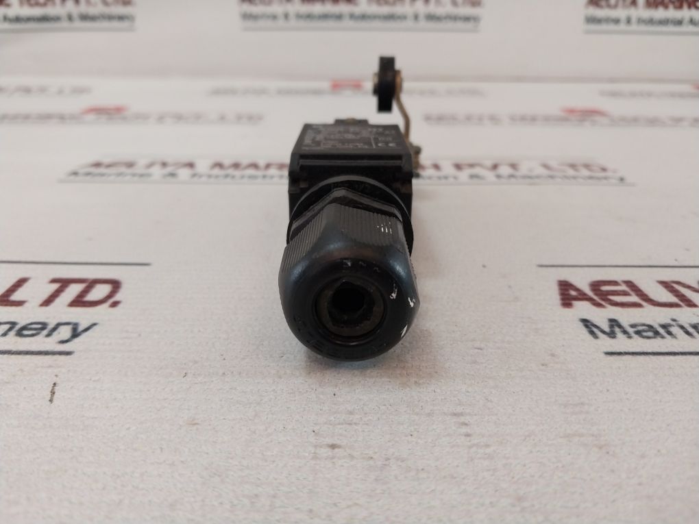 Telemecanique Xck-p…H7 Limit Switch 500V