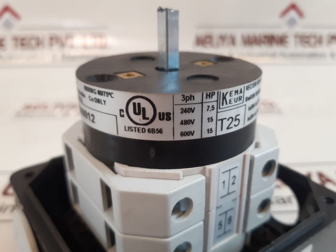 Telergon T-0002500012 Cam Switch T-25