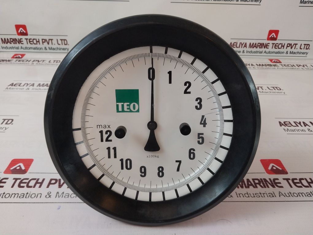 Teo 1250-sk 5 Crane Scale