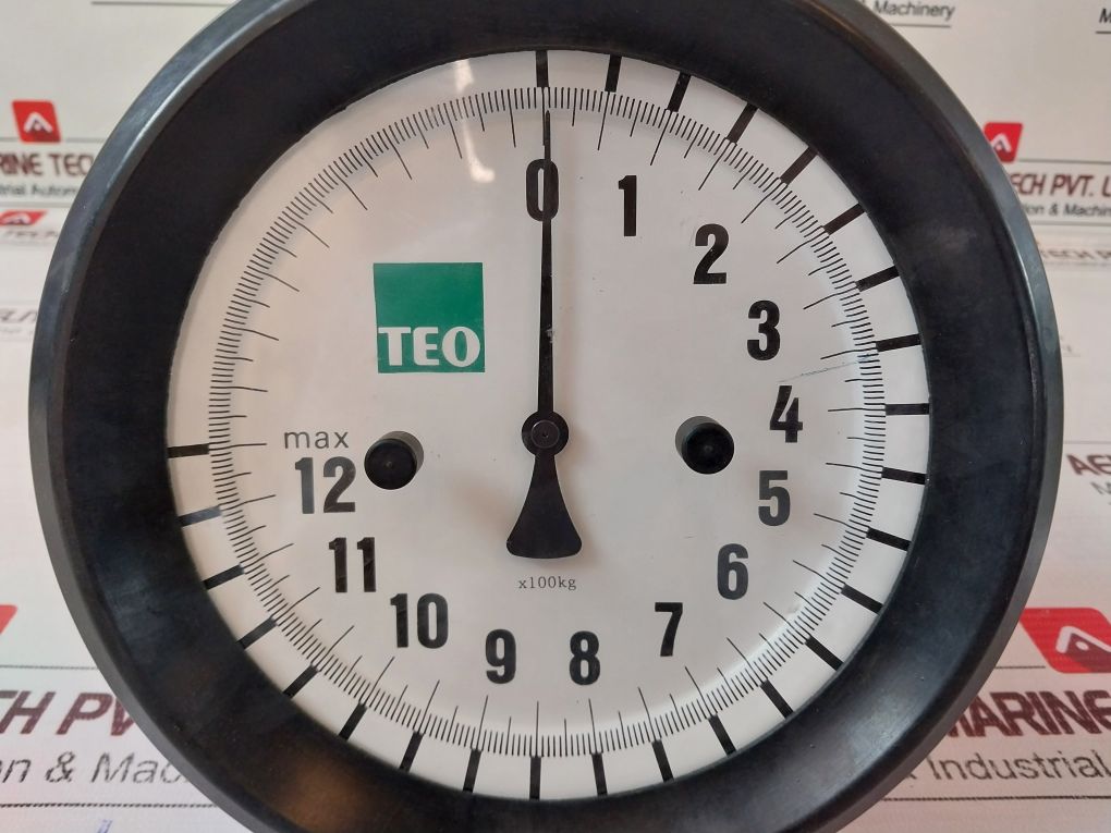 Teo 1250-sk 5 Crane Scale