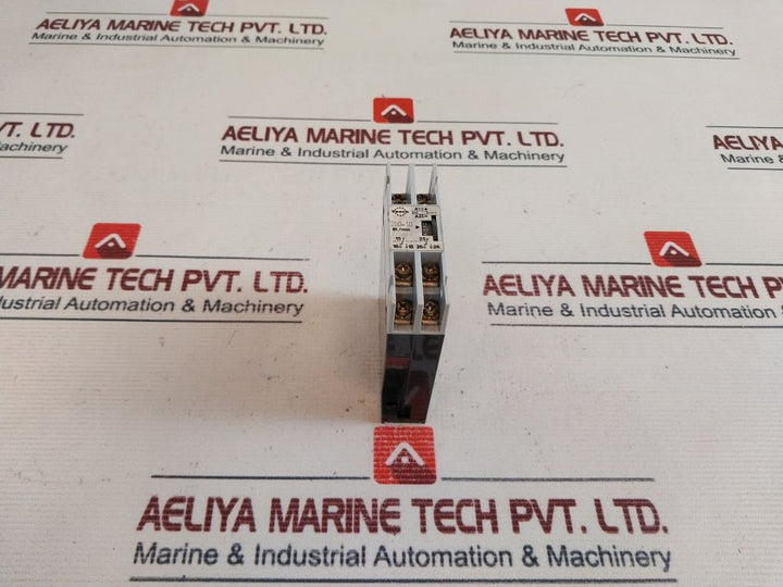 Tesch 200-10 Bi.Min Timing Relay