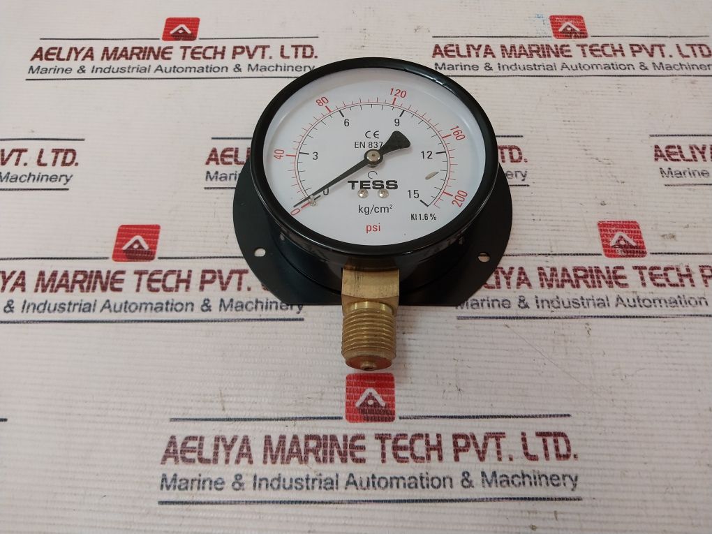 Tess En837.1 Pressure Gauge 0-200 Psi