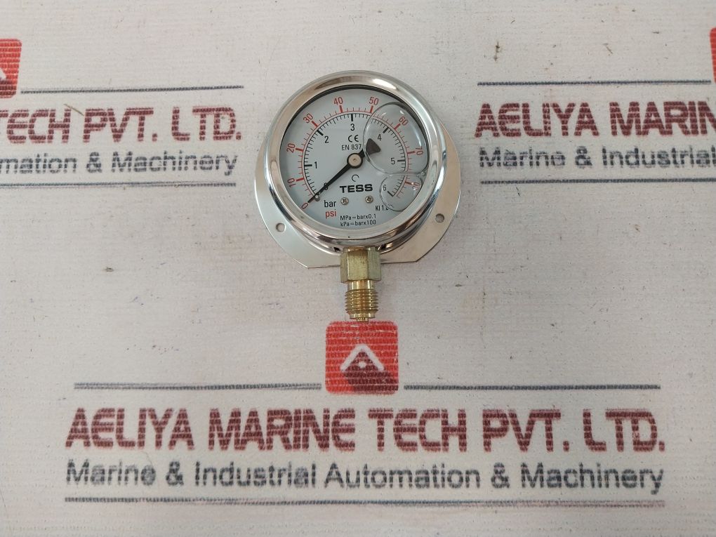 Tess En837.1 Pressure Gauge 0-6 Bar