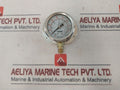 Tess En837.1 Pressure Gauge 0-6 Bar
