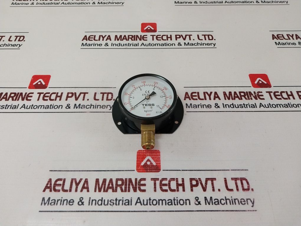 Tess En 837-1 Pressure Gauge 0-200 Psi
