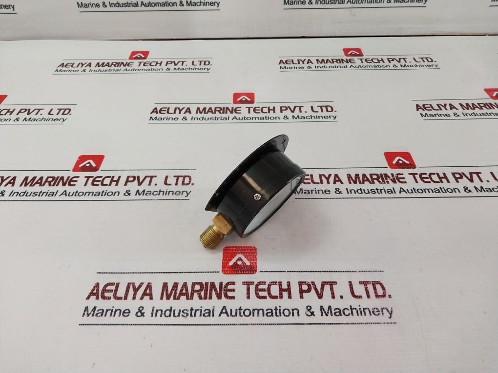 Tess En 837-1 Pressure Gauge 0-200 Psi