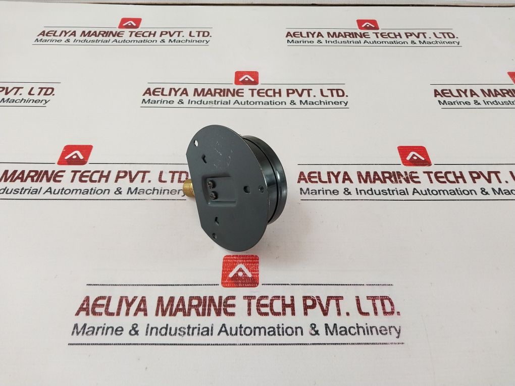 Tess En 837-1 Pressure Gauge 0-200 Psi