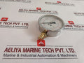 Tess En 837.1 Pressure Gauge 