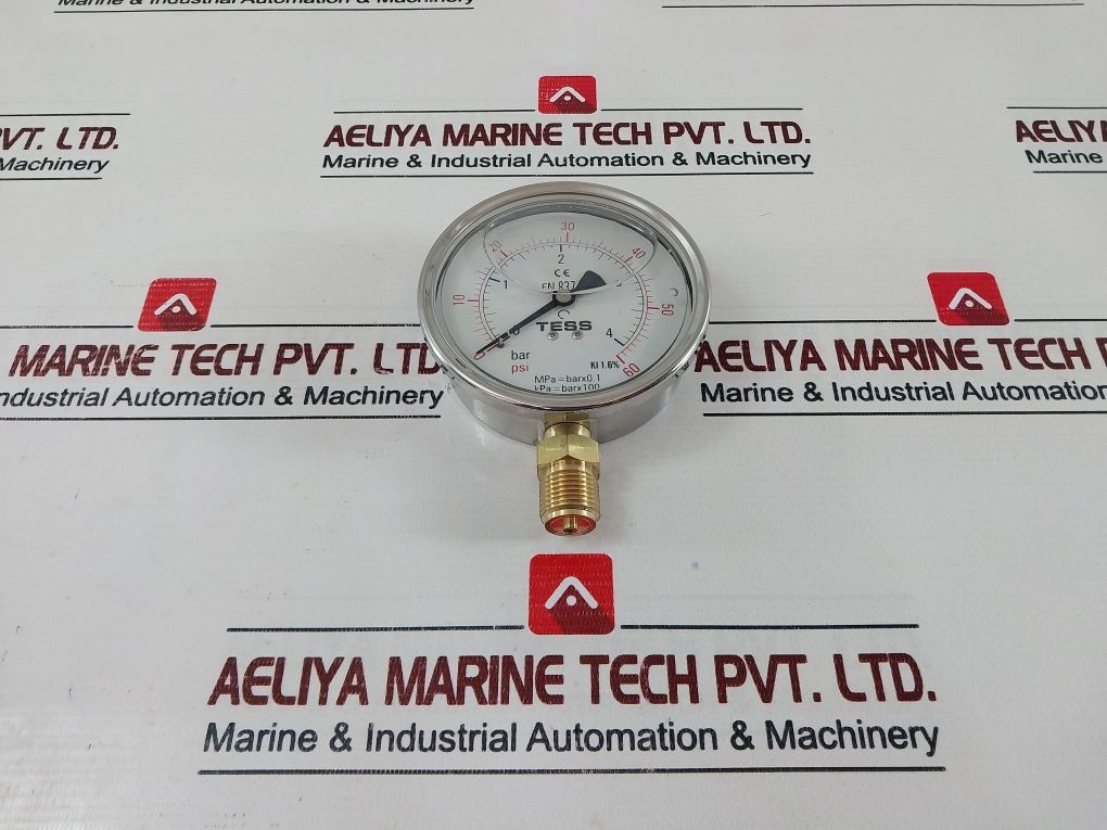 Tess En 837.1 Pressure Gauge 0-4 Bar 0-60 Psi