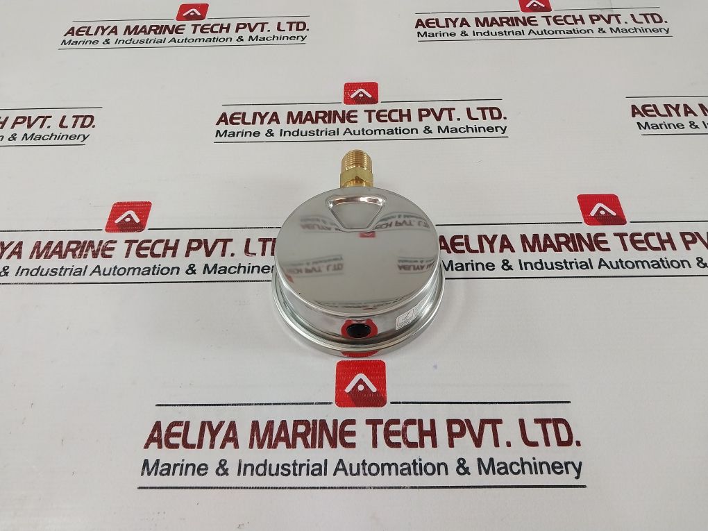 Tess En 837.1 Pressure Gauge 0-4 Bar 0-60 Psi