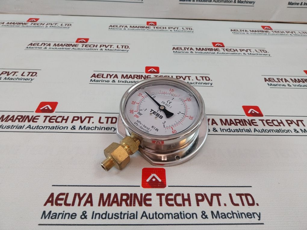 Tess En 837.1 Pressure Gauge 1/2”Bsp, Bm