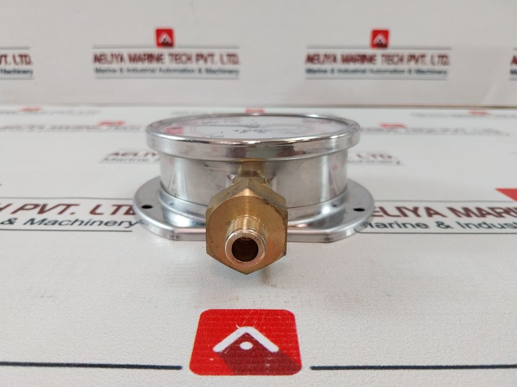 Tess En 837.1 Pressure Gauge 1/2”Bsp, Bm
