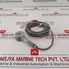 Type Cm Shielded E113096 Sensor